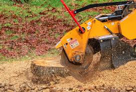 Leaf Removal in Campbellsport, WI